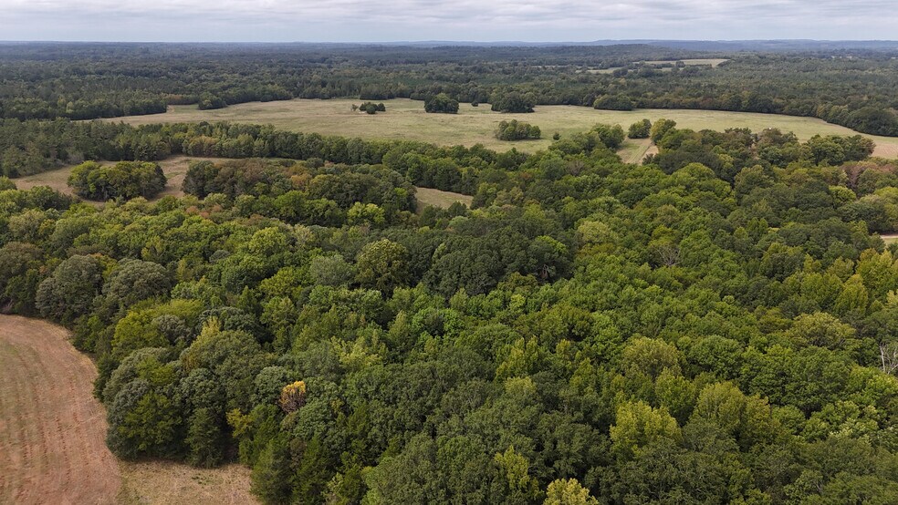 More Photos Of 6040 AL-28, Pine Apple Specialty For Sale