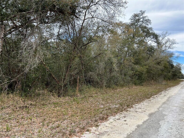 Plymouth Rock Drive, ster, FL 33597 Land For Sale