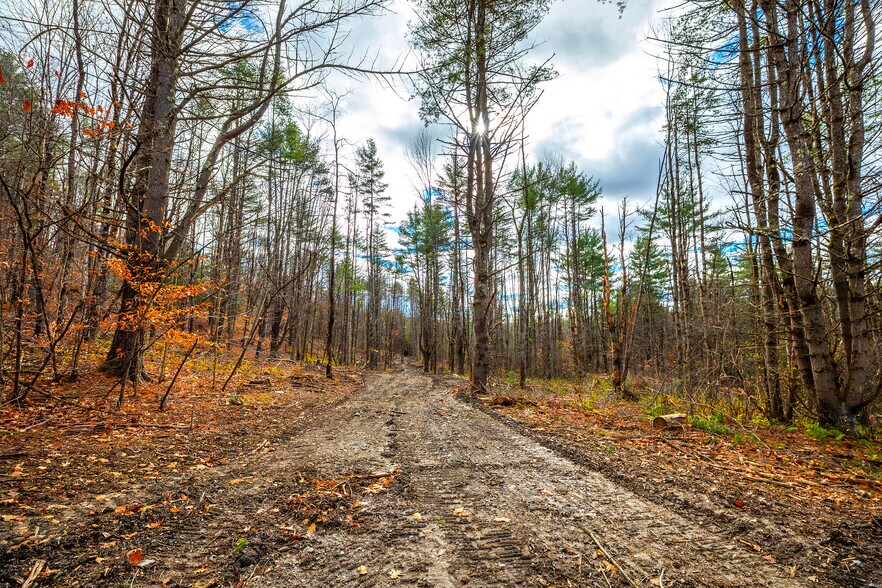 More Photos Of 40 E Putney Brook Rd, Putney Land For Sale