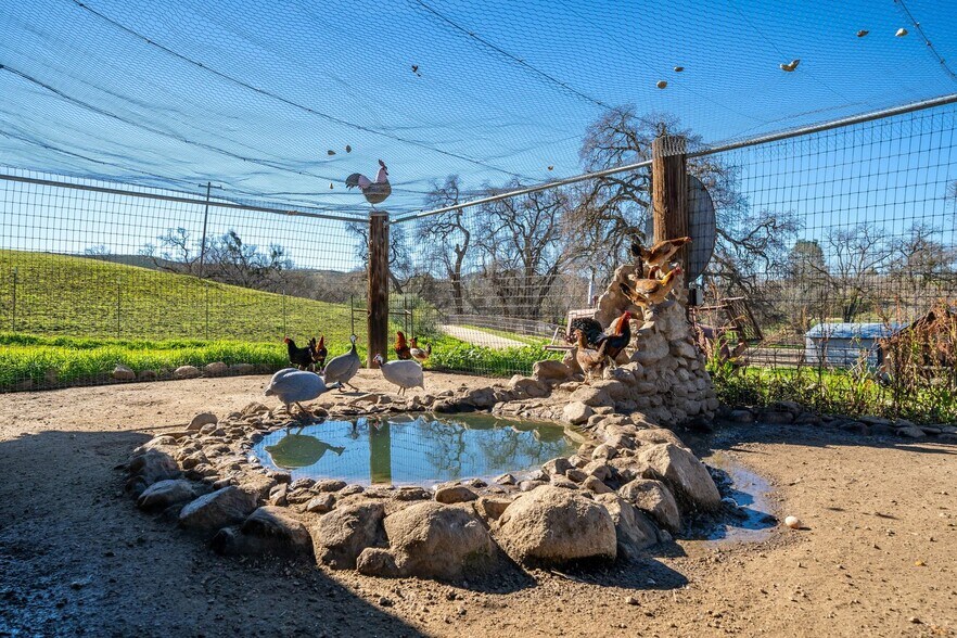 More Photos Of 535 Calf Canyon Hwy, Creston Winery Vineyard For Sale
