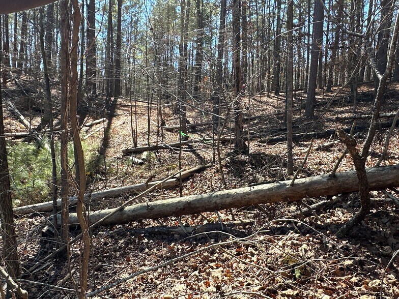 More Photos Of 3472 Prior Station Rd, Cedartown Land For Sale