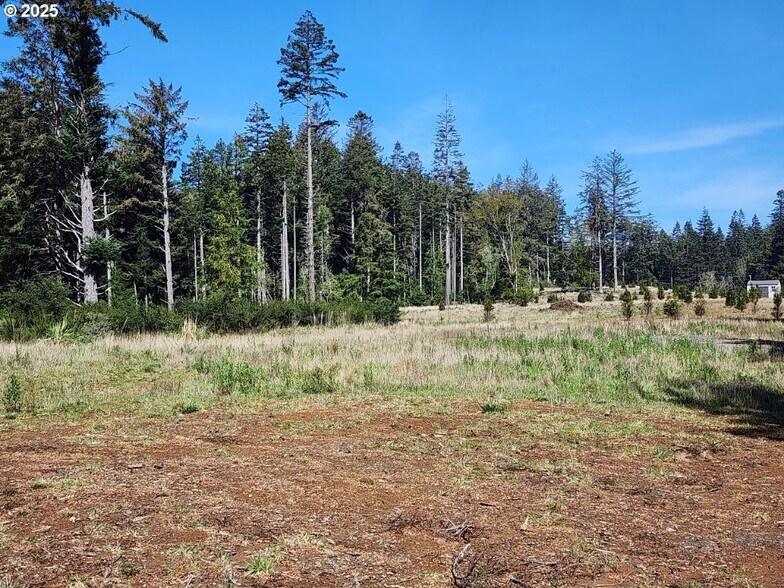 More Photos Of Hubbard Ln @ Cemetery Loop Rd, Port Orford Land For Sale