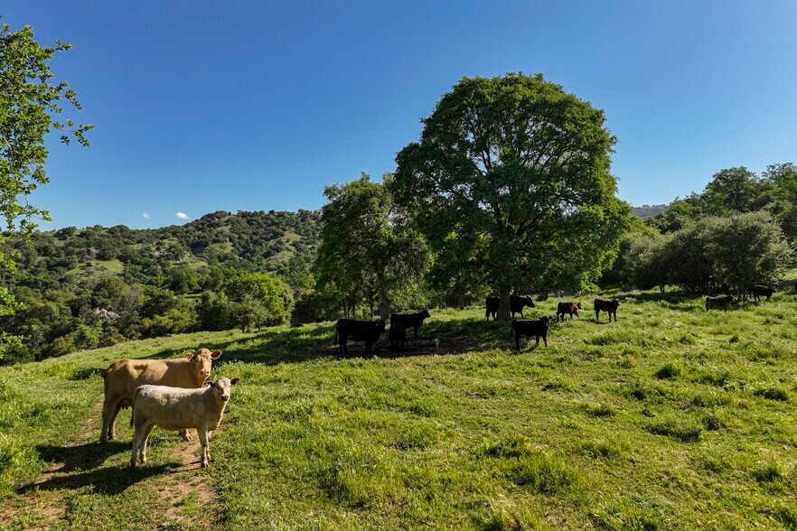 More Photos Of Dry Creek Drive, Badger Land For Sale