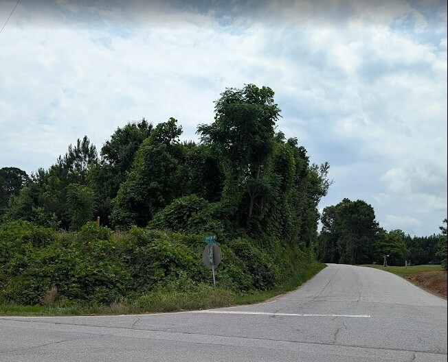 More Photos Of Ga Hwy 16W Brazey Rd, Monticello Land For Sale