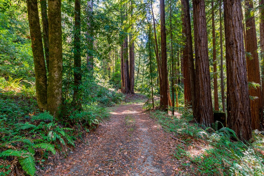 More Photos Of 2372 McKenzie Creek rd, Scotts Valley Land For Sale