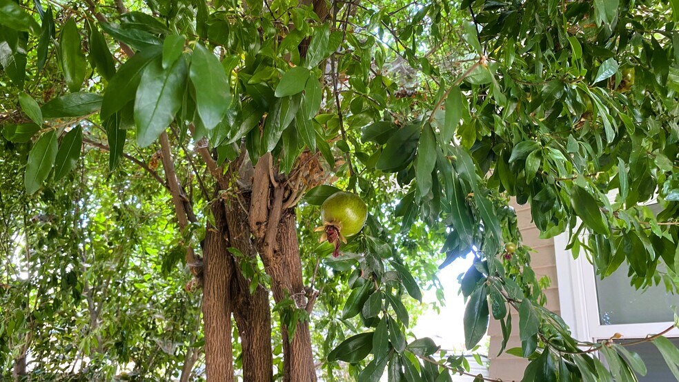 More Photos Of 13201 9th St, Chino Office For Sale