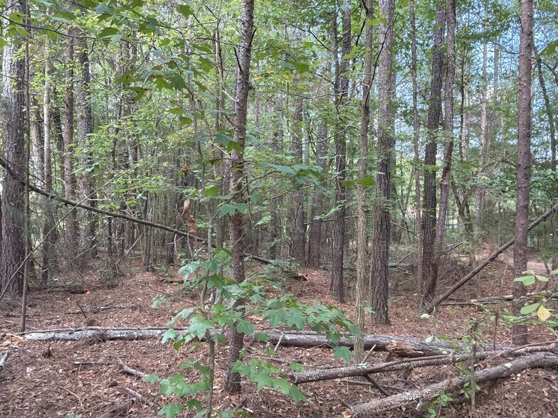 More Photos Of 107 Popham rd, Taylorsville Land For Sale