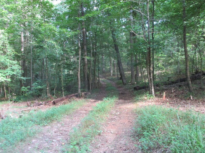 More Photos Of 3699 Evans Mill Rd, Lithonia Land For Sale