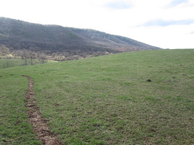 More Photos Of 6390 Old Mountain Rd, Roanoke Land For Sale