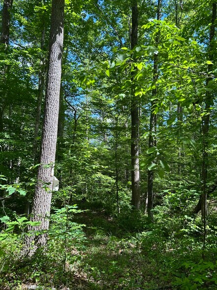 More Photos Of 00 00 Youngstown Rd, Goochland Land For Sale