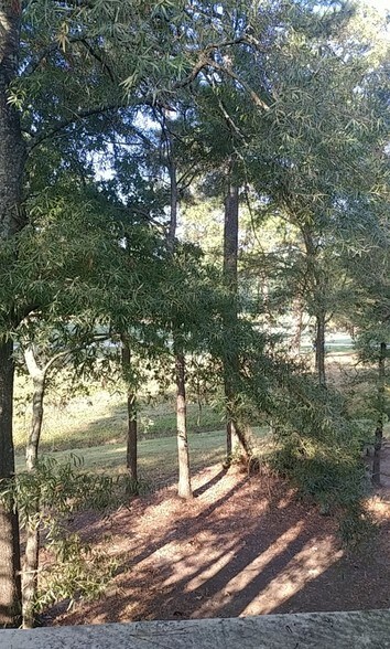 More Photos Of 1733 Woodstead Ct, The Woodlands Office For Lease