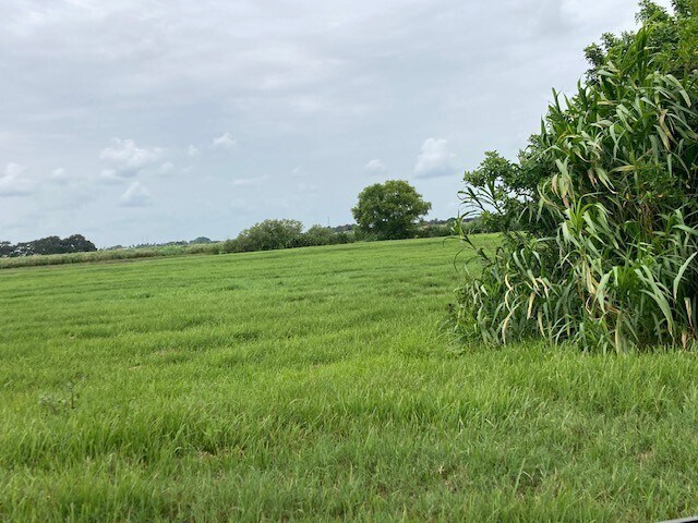 Primary Photo Of 2444 State Road 15 (US 441) St, Belle Glade Land For Sale