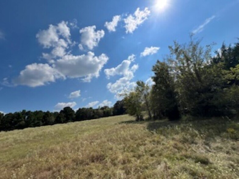 More Photos Of 21805 U.S. HWY 69S hwy, Bullard Land For Sale