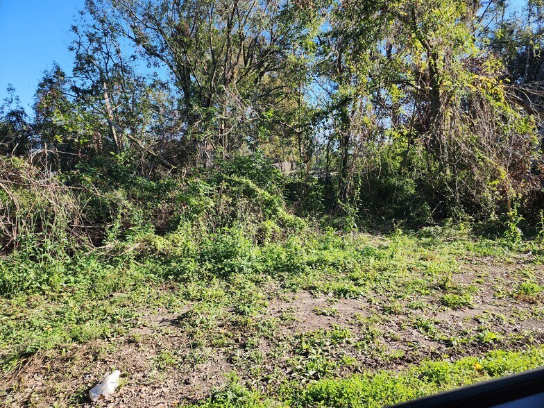 More Photos Of 106 Rondinaud Rd, Donaldsonville Land For Sale