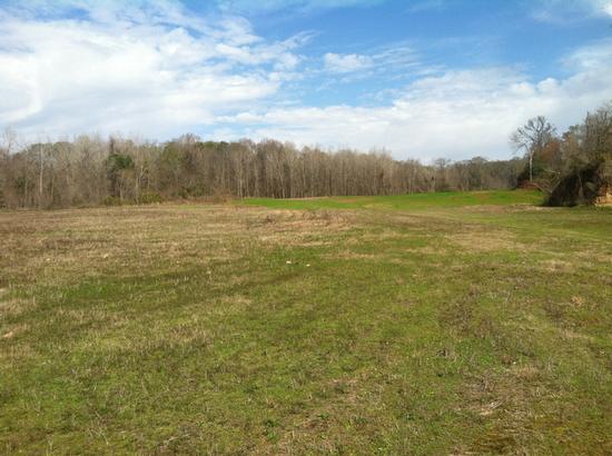 More Photos Of River Terminal Rd, Natchez Land For Sale