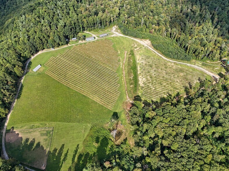 More Photos Of 781 Payne dr, Zirconia Land For Sale