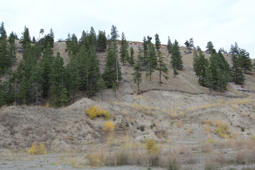 Primary Photo Of 7329 Douglas Lake Rd, Thompson-Nicola Land For Sale