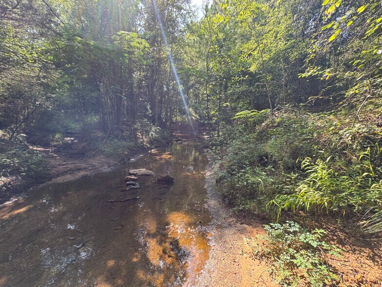 More Photos Of 000 Meadow View Ln, Flint Land For Sale