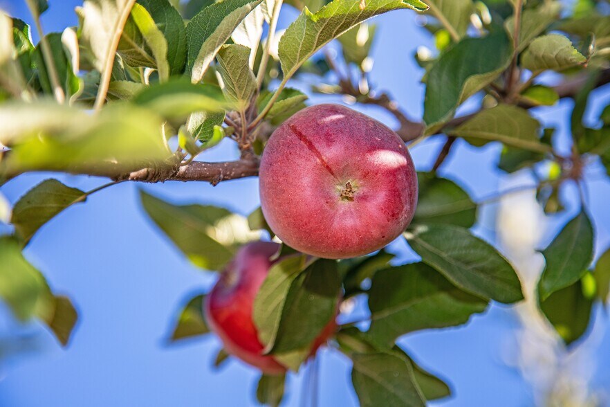 More Photos Of 40065 90th St W, Leona Valley Land For Sale