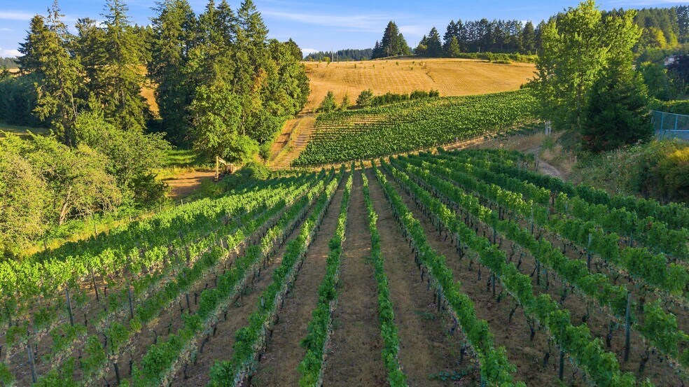 More Photos Of 21360 SW Hillsboro Hwy, Newberg Winery Vineyard For Sale