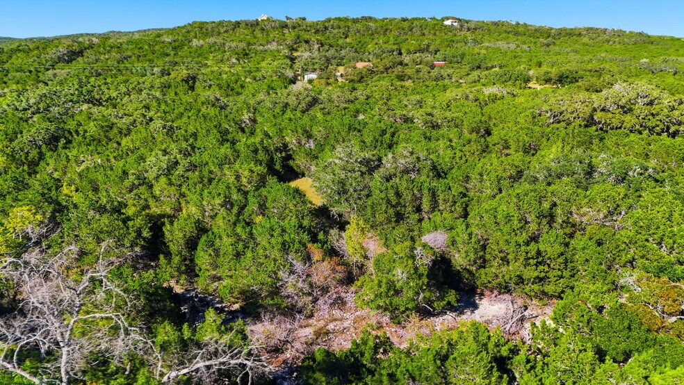 More Photos Of 446 County Road 2763, Mico Land For Sale