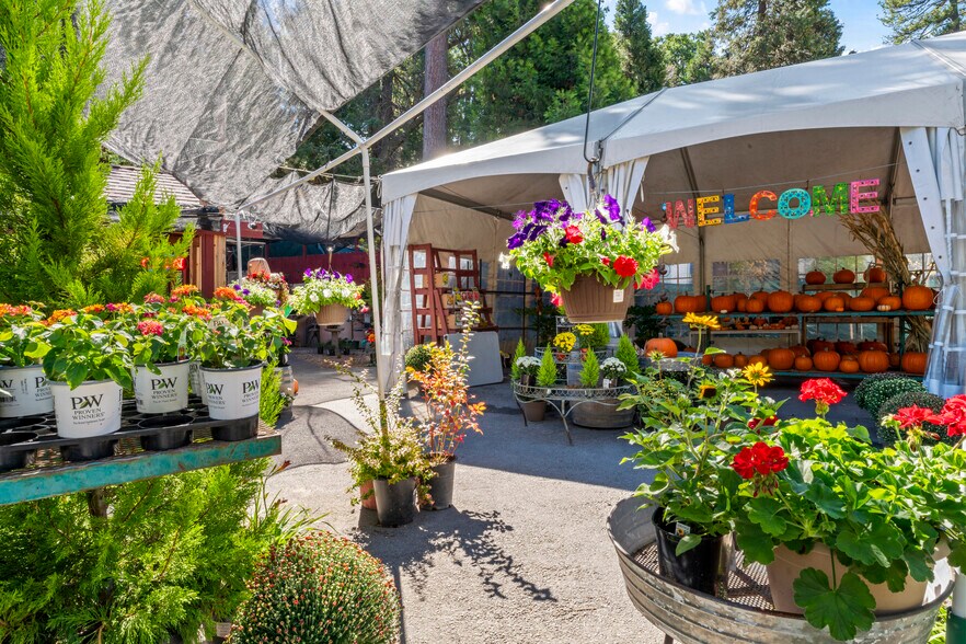 More Photos Of 303 CA-173 Hwy, Lake Arrowhead Garden Center For Sale