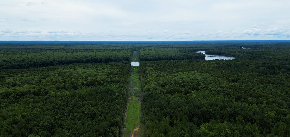 More Photos Of 2250 Sam Royal Rd, Axis Land For Sale