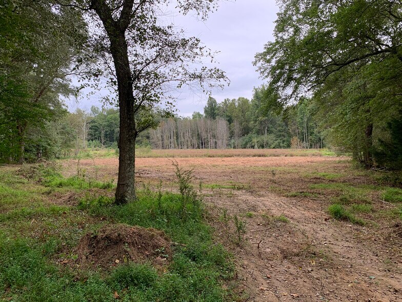 More Photos Of 7038 Spout Springs Rd, Flowery Branch Land For Sale