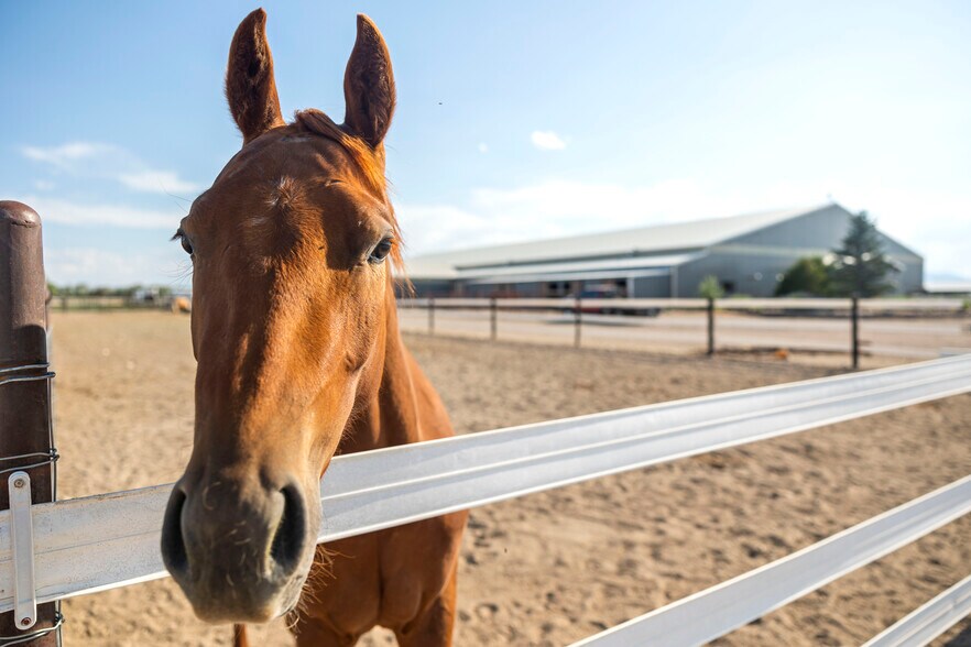 More Photos Of 210 Sybille Creek Rd, Wheatland Horse Stables For Sale