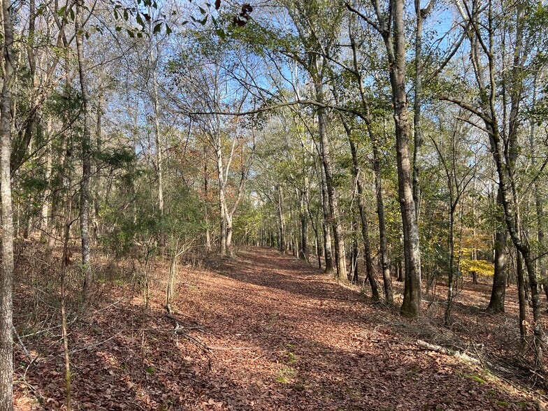 More Photos Of 0 Dickson Dr, Danielsville Land For Sale