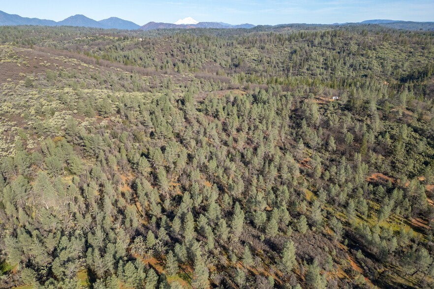 More Photos Of 097-110-011-000, Bella Vista Land For Sale