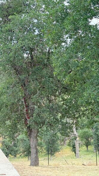 More Photos Of 14718 CA-155 Hwy, Glennville Land For Sale