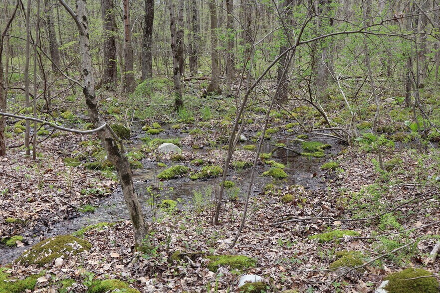 More Photos Of 330 Plutarch Rd, Highland Land For Sale