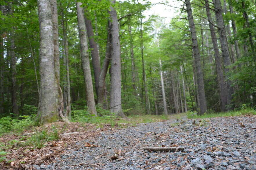 More Photos Of 6421 Highway 91 N, Laurel Bloomery Warehouse For Lease