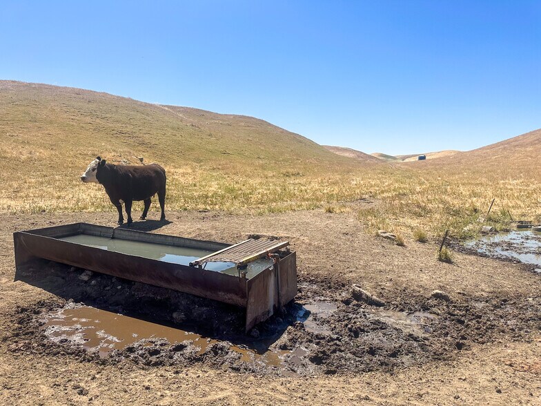 More Photos Of 320.00 +/- Acres of Grazing Land, Mc Farland Land For Sale