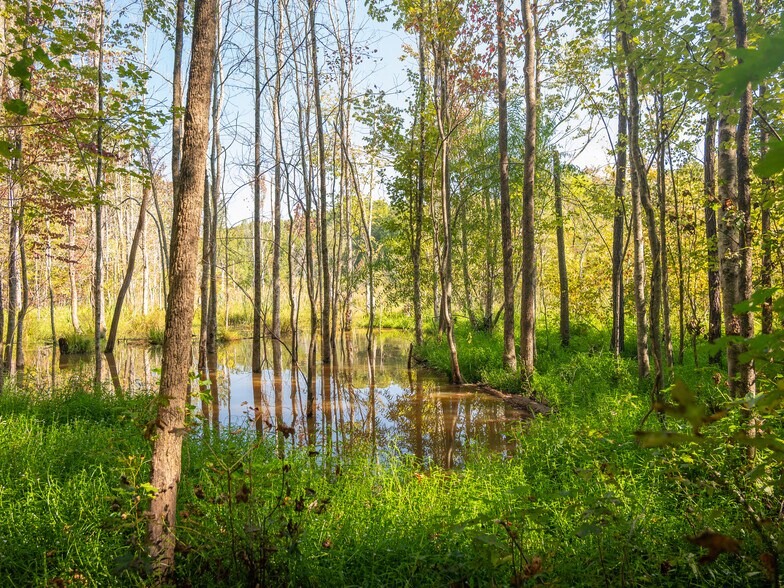 More Photos Of 00 Nash Mill Extension rd, Fountain Inn Land For Sale