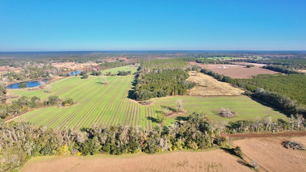 More Photos Of , Tallahassee Land For Sale