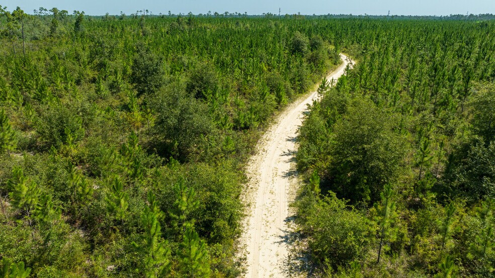 More Photos Of 0 John Pitts rd, Panama City Land For Sale