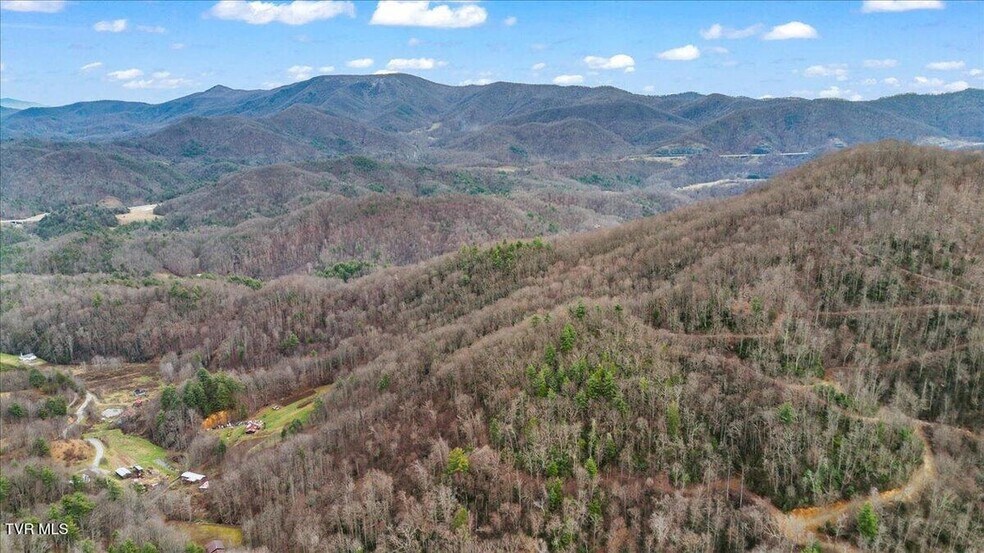 More Photos Of TBD Stockton Rd rd, Flag Pond Land For Sale