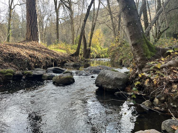 More Photos Of 15960 Bottle Rock Rd, Cobb Hotel For Sale