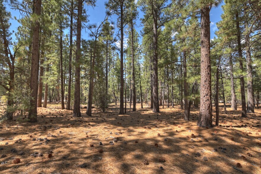 More Photos Of 2001 State Lane, Big Bear City Land For Sale