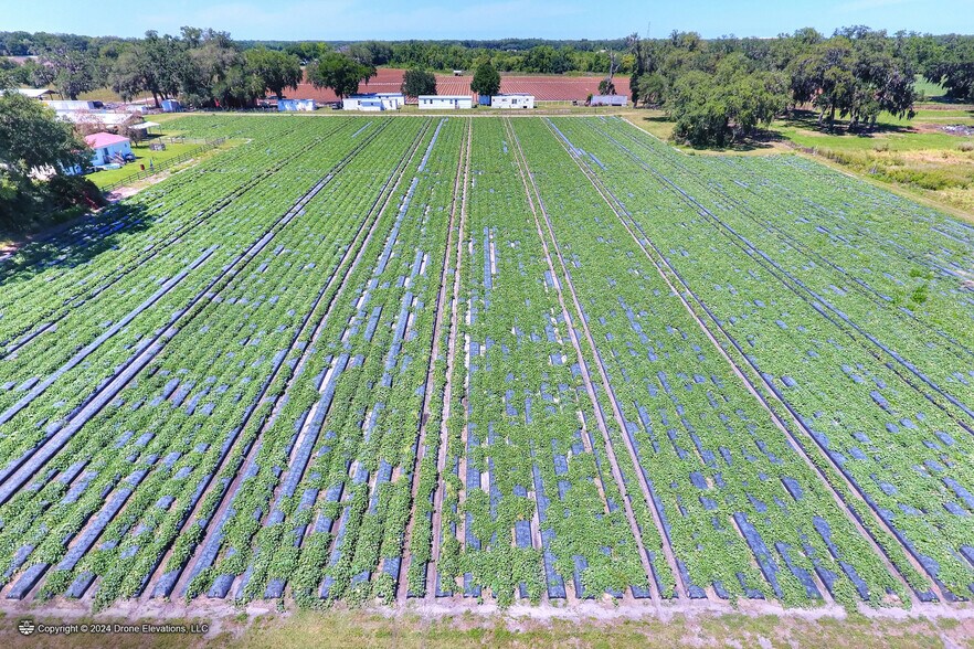 More Photos Of 5625 Stafford Rd, Plant City Land For Sale
