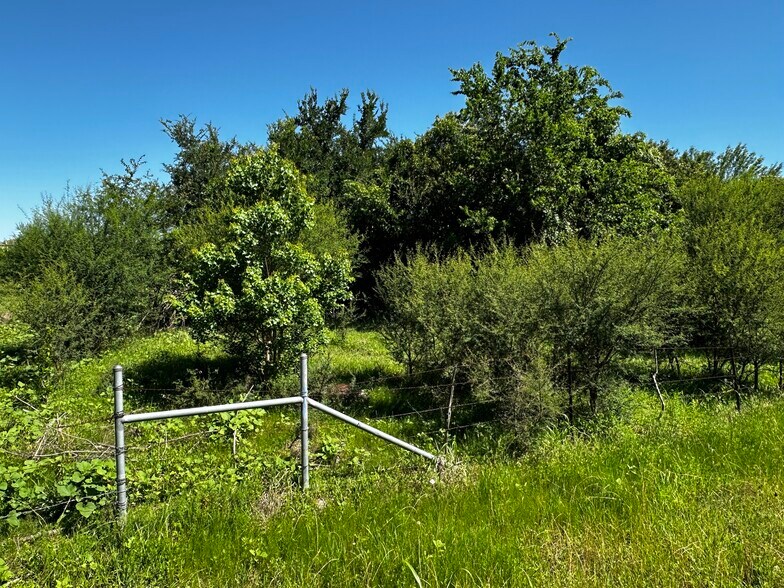 More Photos Of TBD Scott Street, Kyle Land For Sale