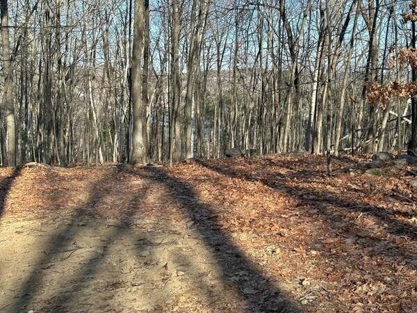 More Photos Of 160 Brookline St, Worcester Land For Sale