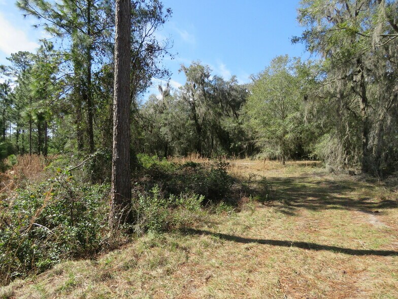 More Photos Of 9570 NE 35th st, Bronson Land For Sale