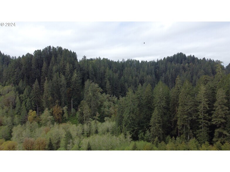 More Photos Of 18-10-00-00-01300500, Mapleton Land For Sale