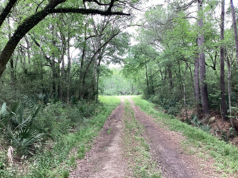 More Photos Of 0 County Road 4876, Dayton Land For Sale