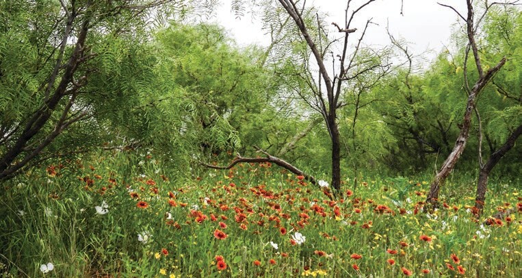 More Photos Of 1510 US Highway 83, Childress Land For Sale