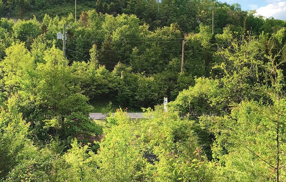 More Photos Of 785 Horsebranch Rd, Edgewood Land For Sale