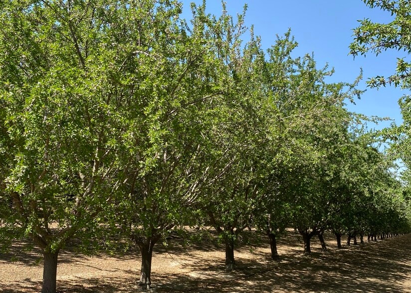 Primary Photo Of Oakland @ Lassen Avenue, Five Points Land For Sale